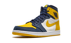 Air Jordan 1 Retro High PE "Michigan" 951258