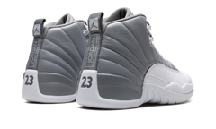 Air Jordan 12 "Stealth" CT8013 015