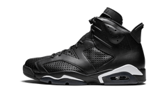 Air Jordan 6 Retro "Black Cat" 384664 020