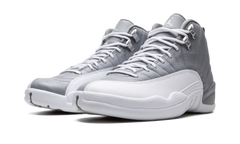 Air Jordan 12 "Stealth" CT8013 015