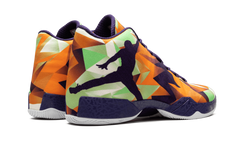 Air Jordan 29 695515 805