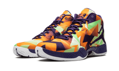 Air Jordan 29 695515 805