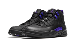 Air Jordan 12 Retro "Dark Concord" CT8013 005