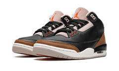 Air Jordan 3 Retro "Desert Elephant" CT8532 008