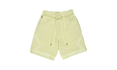 Jordan Air Cat Fleece Shorts "Luminous Green" AV5017 335