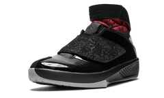 Air Jordan 20 "Stealth" 310455 002