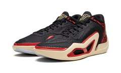 Jordan JT1 "Zoo" DX5572 001