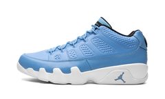 Air Jordan 9 Retro Low "Pantone" 832822 401