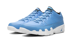 Air Jordan 9 Retro Low "Pantone" 832822 401