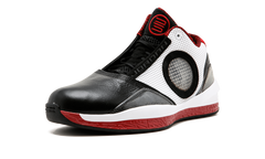 Air Jordan 2010 387358 061