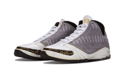 Air Jordan 23 318376 102