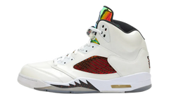 Jordan 5 Retro PROMO "NFL Football Helmet Visor White PE" DD9405