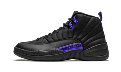 Air Jordan 12 Retro "Dark Concord" CT8013 005