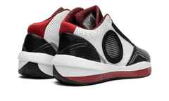 Air Jordan 2010 387358 061